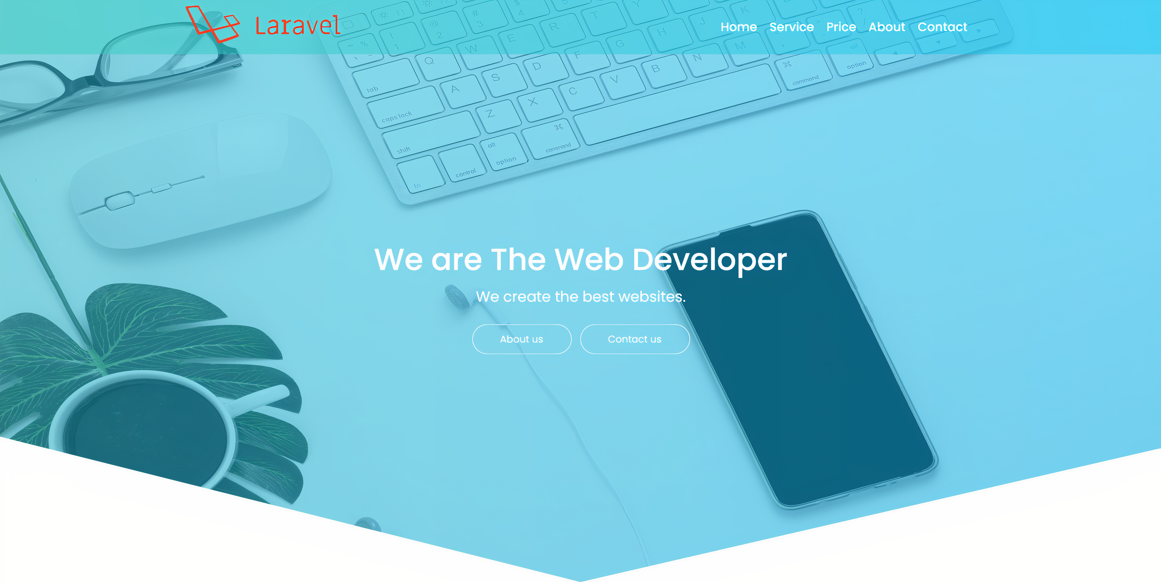 portfolio